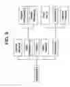 Fig. 08 - Method for three dimensional multi-phase quantitative tissue evaluation