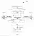 Fig. 06 - Multi-phase registration of 2-D X-ray images to 3-D volume studies