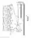 Fig. 06 - Image forming apparatus featuring alleviation of toner image deformation resulting from a rotational speed change of an image bearing member