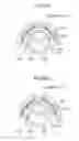 Fig. 07 - Fixing apparatus and image forming apparatus