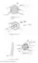 Fig. 04 - Electroactive polymer pumping system