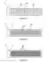 Fig. 03 - Protein microarray slide