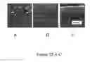 Fig. 13 - Protein microarray slide