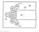 Fig. 01 - Microfluidic methods and apparatuses for sample preparation and analysis