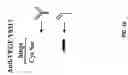 Fig. 26 - Methods and compositions for increasing antibody production