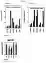 Fig. 02 - Methods for delivering MBD peptide-linked agent into cells under conditions of cellular stress