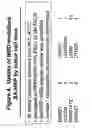 Fig. 05 - Methods for delivering MBD peptide-linked agent into cells under conditions of cellular stress