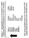 Fig. 08 - Methods for delivering MBD peptide-linked agent into cells under conditions of cellular stress