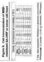 Fig. 10 - Methods for delivering MBD peptide-linked agent into cells under conditions of cellular stress