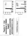 Fig. 18 - Methods for delivering MBD peptide-linked agent into cells under conditions of cellular stress