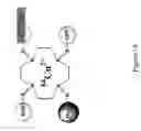 Fig. 02 - MULTIFUNCTIONAL CORE FOR MOLECULAR IMAGING AND TARGETED DELIVERY OF MACROMOLECULES AND DRUGS