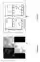 Fig. 09 - MULTIFUNCTIONAL CORE FOR MOLECULAR IMAGING AND TARGETED DELIVERY OF MACROMOLECULES AND DRUGS