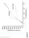 Fig. 10 - MULTIFUNCTIONAL CORE FOR MOLECULAR IMAGING AND TARGETED DELIVERY OF MACROMOLECULES AND DRUGS