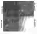 Fig. 12 - MULTIFUNCTIONAL CORE FOR MOLECULAR IMAGING AND TARGETED DELIVERY OF MACROMOLECULES AND DRUGS