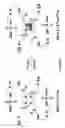 Fig. 13 - MULTIFUNCTIONAL CORE FOR MOLECULAR IMAGING AND TARGETED DELIVERY OF MACROMOLECULES AND DRUGS
