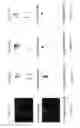 Fig. 19 - MULTIFUNCTIONAL CORE FOR MOLECULAR IMAGING AND TARGETED DELIVERY OF MACROMOLECULES AND DRUGS