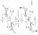 Fig. 27 - MULTIFUNCTIONAL CORE FOR MOLECULAR IMAGING AND TARGETED DELIVERY OF MACROMOLECULES AND DRUGS
