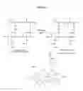 Fig. 09 - POLYGLUTAMATE-AMINO ACID CONJUGATES AND METHODS