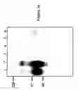 Fig. 04 - Polypeptide