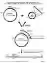 Fig. 03 - Recombinase-Based System for Expression of Foreign Proteins Using Adenovirus Vectors