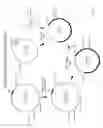 Fig. 06 - Recombinase-Based System for Expression of Foreign Proteins Using Adenovirus Vectors