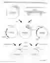 Fig. 09 - Recombinase-Based System for Expression of Foreign Proteins Using Adenovirus Vectors