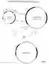 Fig. 23 - Recombinase-Based System for Expression of Foreign Proteins Using Adenovirus Vectors