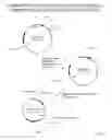 Fig. 25 - Recombinase-Based System for Expression of Foreign Proteins Using Adenovirus Vectors