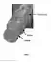 Fig. 02 - Engineered blood vessels