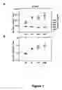 Fig. 02 - Use of polysulphated alginate in cellular matrices