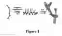 Fig. 02 - Hydrogels and uses thereof