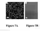Fig. 10 - Hydrogels and uses thereof