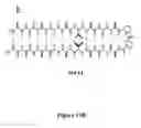 Fig. 17 - Hydrogels and uses thereof
