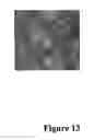 Fig. 19 - Hydrogels and uses thereof