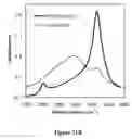 Fig. 29 - Hydrogels and uses thereof