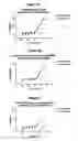 Fig. 04 - Human antibody molecules for IL-13