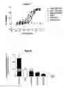 Fig. 07 - Human antibody molecules for IL-13