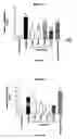 Fig. 12 - Human antibody molecules for IL-13