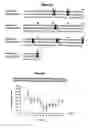 Fig. 14 - Human antibody molecules for IL-13