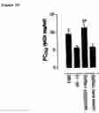 Fig. 18 - Human antibody molecules for IL-13