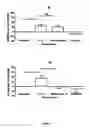Fig. 20 - Human antibody molecules for IL-13