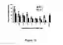 Fig. 33 - GLP-1 agonists, compositions, methods and uses