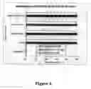 Fig. 19 - Immunointeractive molecules
