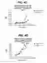 Fig. 06 - Anti-integrin antibodies, compositions, methods and uses