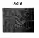 Fig. 13 - Anti-integrin antibodies, compositions, methods and uses