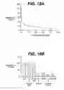 Fig. 26 - Anti-integrin antibodies, compositions, methods and uses