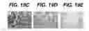 Fig. 27 - Anti-integrin antibodies, compositions, methods and uses