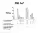 Fig. 29 - Anti-integrin antibodies, compositions, methods and uses