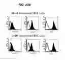 Fig. 33 - Anti-integrin antibodies, compositions, methods and uses