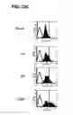 Fig. 34 - Anti-integrin antibodies, compositions, methods and uses